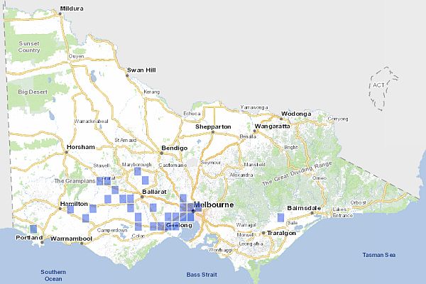 Distribution of Button Wrinklewort in Victoria - Map derived from Victorian Biodiversity Atlas, December 2014